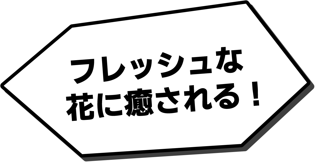 フレッシュな花に癒やされる