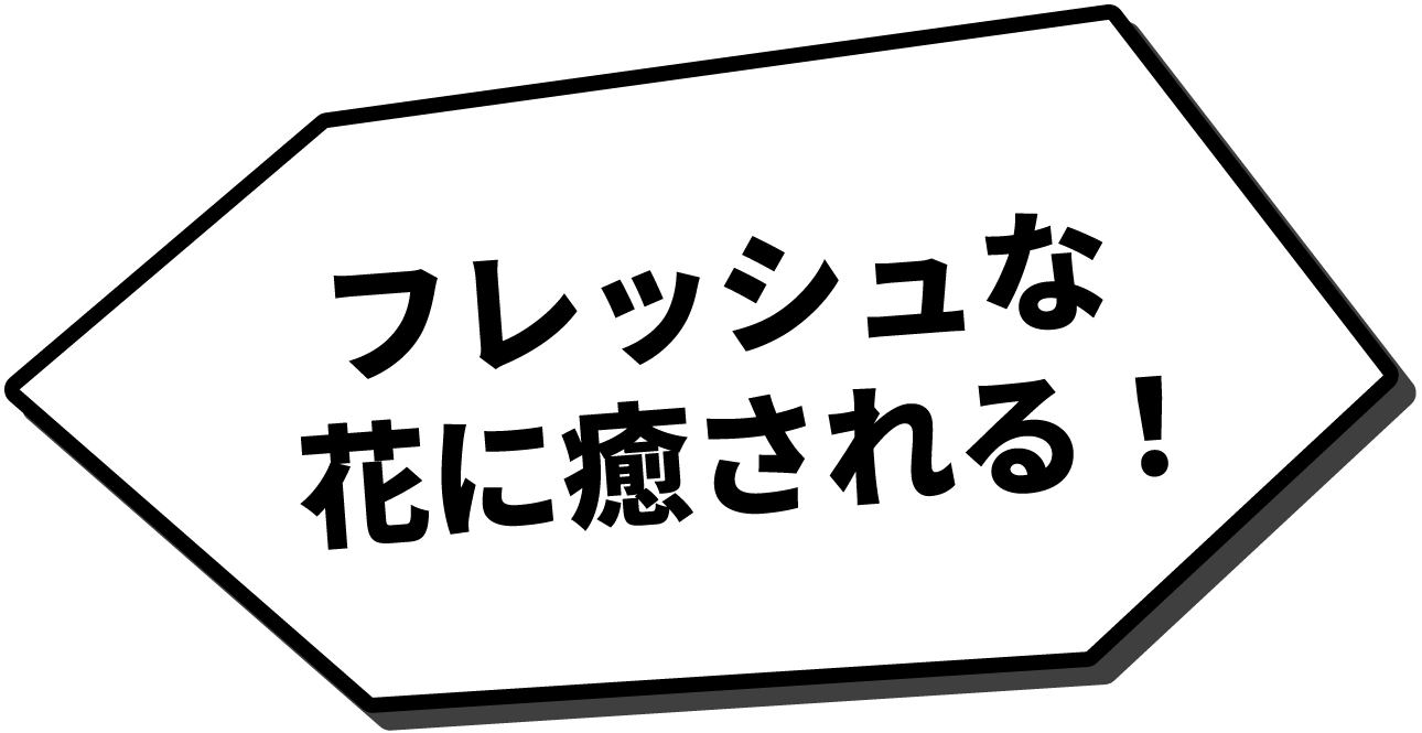 フレッシュな花に癒やされる
